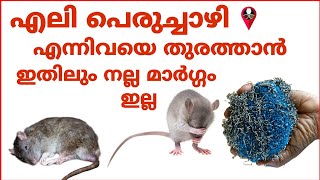 എന്നന്നേക്കുമായി ഈ ശല്യം ഒഴിവാക്കാൻ | How to get rid of rats and rodents from home | eliye thurathan