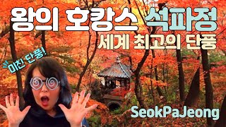 왕의 호캉스 별장 석파정의 미친 단풍 #석파정 #서울미술관 #단풍