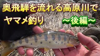 岐阜県奥飛騨を流れる高原川でヤマメ釣り　後編