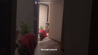 Pumba è ora di dormire non disturbare - Angolo di Paradiso Family Instagram Stories 25/10/22