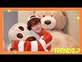 trendz 트렌드지 2025 season s greetings trendzip preview clip📁