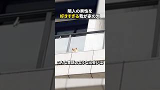 隣人の男性を好きすぎる我が家の犬