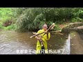 雨后拔笋才叫过瘾，小伙刚进竹林就惊喜了，满地野笋拔都拔不赢