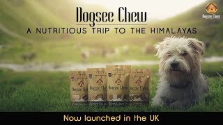 Introducing Dogsee Chew | Finest Yak Cheese Treat, Handcrafted in the Himalayas