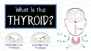 What is Thyroid Disease? (HealthSketch)