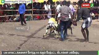 நிறைகுளத்து அய்யனார் கோயில் திருவிழாவையொட்டி கிடாமுட்டு