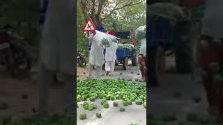 Farmers of #Punjab's #Mansa district threw capsicum on the road in Bhaini Bagha to protest