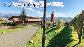 カンパーナ六花亭に感動！富良野観光【北海道一周車中泊の旅】