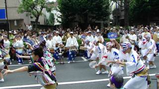 Tokyo Koenji Awaodori 2011-8-29   東京高円寺阿波踊り