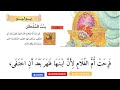 learn arabic short story with explanation in urdu hindi modern standard arabic 002