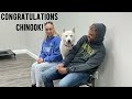 “chinook” 1 y o siberian husky amazing obedience detroit dog trainer