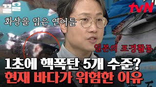 지구온난화로 바다 온도 상승🔥 화상 입으면서 헤엄치는 물고기들🐟️ | 벌거벗은세계사