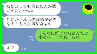 【LINE】修羅場好きの義妹が私と夫に出鱈目を吹き込む「あの人浮気してるよｗ」→迷惑女のお望み通り修羅場の渦中に入れてあげた時の反応が...w