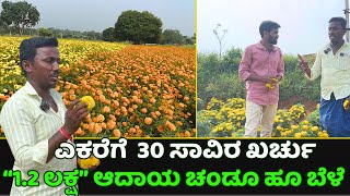 ಚಂಡೂ ಹೂ ಬೆಳೆ  ಎಕರೆಗೆ  30 ಸಾವಿರ ಖರ್ಚು“1.2 ಲಕ್ಷ” ಆದಾಯ|MARIGOLD FARMING IN KANNADA|KRUSHI SANCHARI