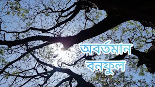 বনফুলের গল্প অবর্তমান /Bonofuler Golpo/হযবরল/Hozoborolo