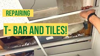 CEILING T-BAR Repair \u0026 TILE REPLACEMENT