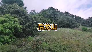 一岭览两县风光，案朝如大屏风，右砂顺护，左砂为龙脉曲转逆护！