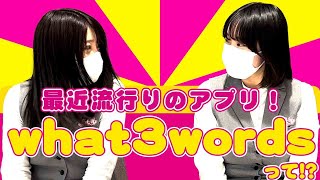 最近流行りのアプリ！what3wordsって!?