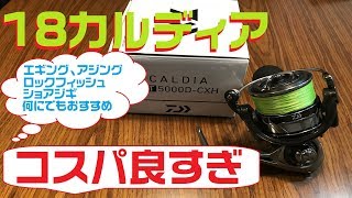 ダイワ18カルディアが凄すぎる！コスパ高い何釣りにもおすすめリール！耐久性、軽さ、中堅とは思えない安心感