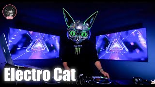 Electro Cat´s Saturday Live Session #3