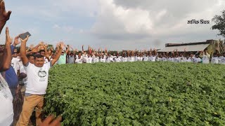 দূর্বার করলা কেন চাষ করবেন?