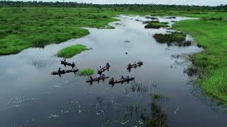 Habitat Alami Buaya Badas Hitam, Rawa Sekgoi. Long Mesangat