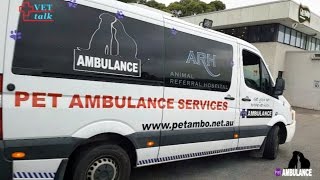 Pet Ambulance Canberra - Jarrod \u0026 Claudia Male - Part 1