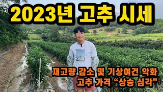 2023년 건고추 가격시세 전망 및 예상 가격은? 올해 고추 농사 작황 및 구입시기