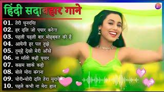 90s Hits❤️ Romantic Melody Song Kumar Sanu ❤️ Alka Yagnik & Udit Narayan #90severgreen #bollywood
