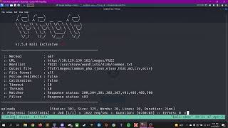 HackTheBox Timing Walkthrough
