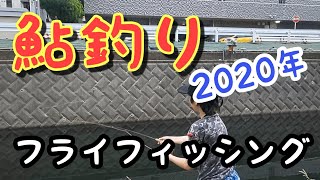 鮎 フライフィッシング 2020 息子②が 初挑戦！