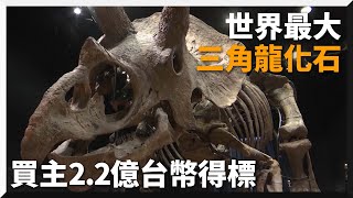 世界最大三角龍化石2.2億元拍出！破歐洲紀錄｜法國｜拍賣會｜國際