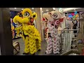 lion dance chinese happy new year 2025 lion dance for happy new year lion dance for special