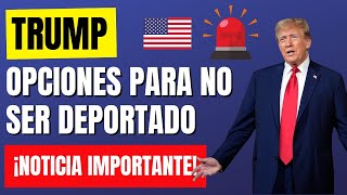 ¡ATENCIÓN! OPCIONES DE PROTECCIÓN CONTRA A DEPORTACIÓN | ¿QUIÉN ESTÁ Y NO ESTÁ PROTEGIDO?