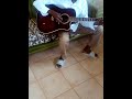 Niiye mwamba no salama cover by -Thomas Makuto