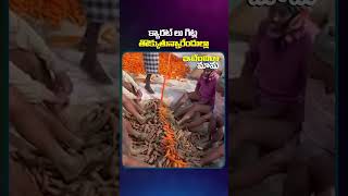 క్యారట్ లు గిట్ల తొక్కుతున్నారేందుల్లా #funnyvideos#funnyideas#innovationideas#innovative #creative