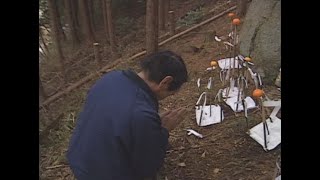 「山添村の正月行事（２）山の神（倉立て・カギ引き）」（平成6年）