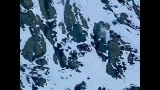 Absolutely savage Snow Leopard jumps off cliff into free fall to catch it's Prey...