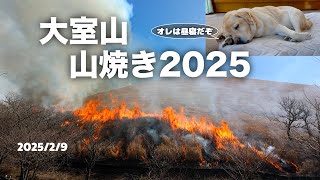 大室山の山焼き　「人も犬もシニア」の伊豆高原移住生活