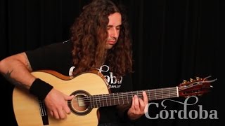 Basic Flamenco Guitar Techniques - Ben Woods