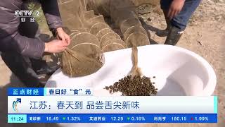 [正点财经]春日好“食”光 江苏：春天到 品尝舌尖新味|CCTV财经