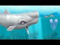 Hungry Shark Evolution Moby Dick Android Gameplay #20