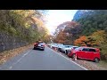 今日 紅葉見に行こうよう 伊香保温泉♡河鹿橋 20221105