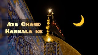 Aye Chand Karbala Ke | Tribute to Shaheed Ustaad Sibt e Jafar Zaidi | Waqas Haider