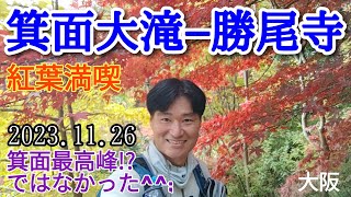 箕面大滝−勝尾寺  2023🍁周回