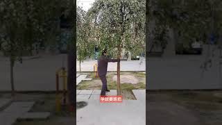 中国功夫 终南太极 Chinese Kongfu Taiji of Zhongnan