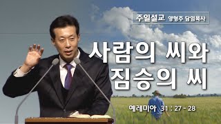 신천지 교리 반증 #1 - 대전도안교회 주일설교 [2020.02.23] / 사람의 씨와 짐승의 씨 / 양형주 목사