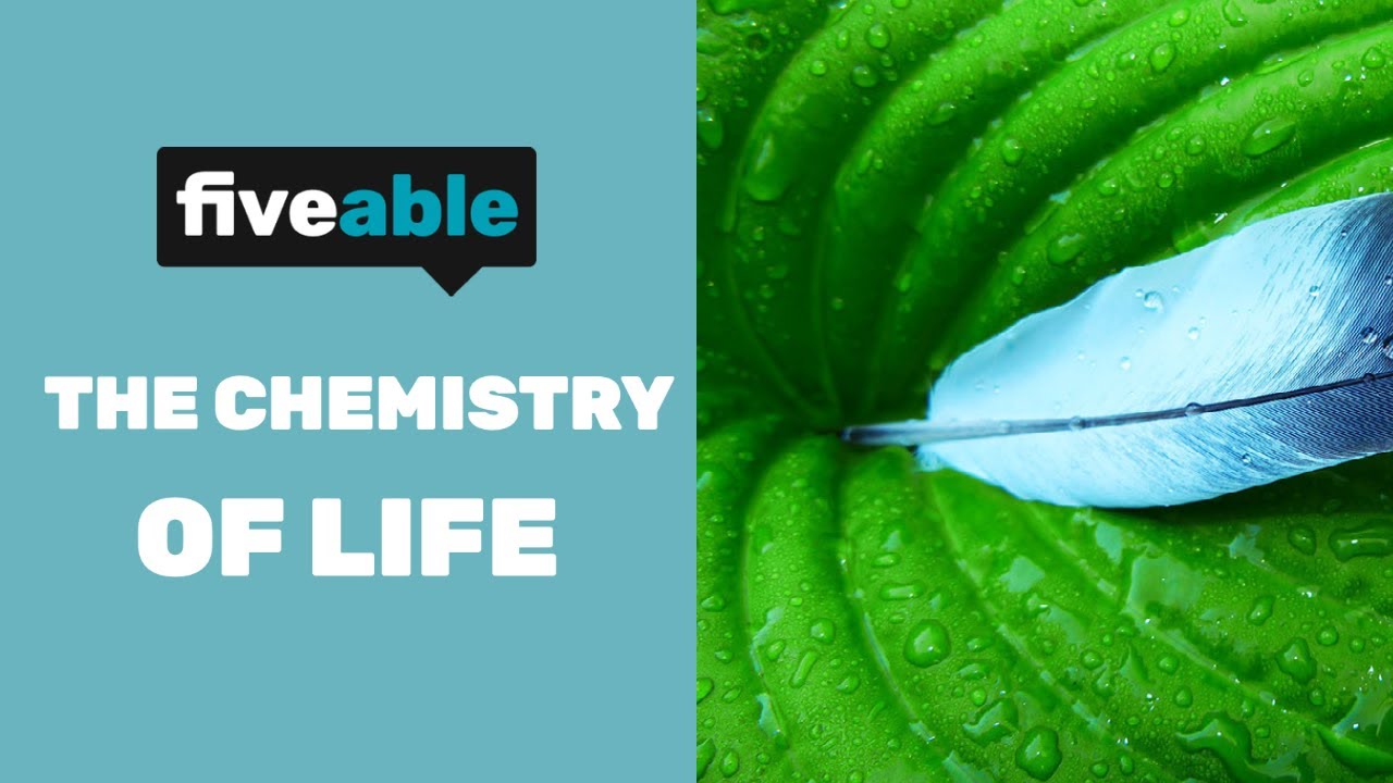 AP Biology: The Chemistry Of Life - YouTube