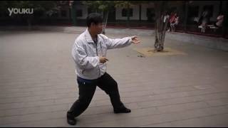 Song style Xing Yi Quan/Сун Ши Синъи Цюань (宋式形意拳), Zhang Zengji (张增记 )