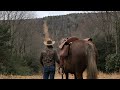 West Virginia Horseback Mountain Ride (STEEP!!!)